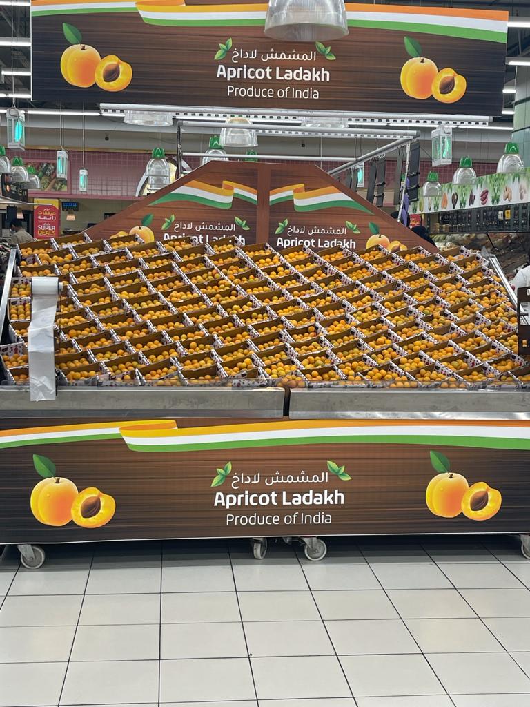 Ladakh Apricot on display in Lulu Group FMCG-Dubai
